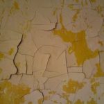 Expertise humidité Rhône